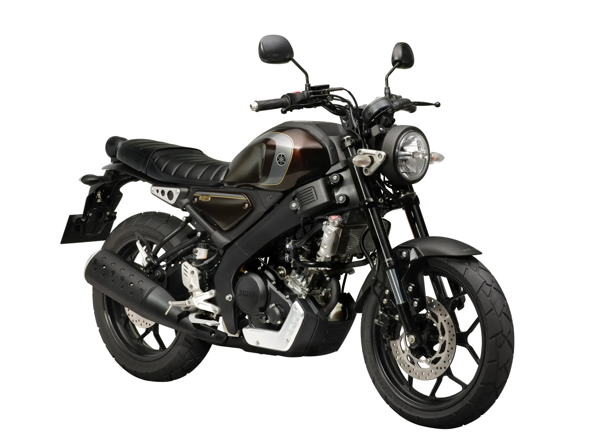 brown black_XSR 155.webp